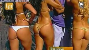 Escudero Figueroa Miranda Ghidone Vedettes en bikini culos damageinc famosas