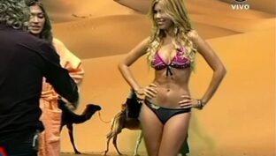 Fiorella Blanco eubia tetona en bikini Animales Sueltos TV damageinc videos